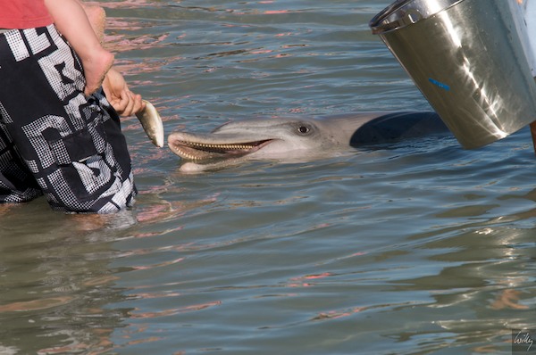 AustraliaPerth 10  104